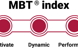 MBT index - de niveaus
