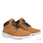 M2800 M Wheat